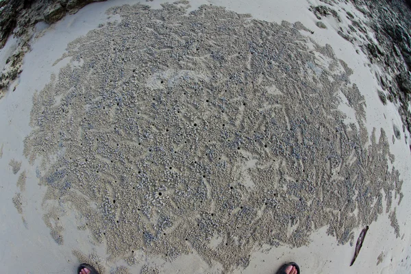 Zand patroon op het strand — Stockfoto