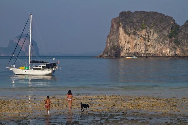 Пляж в Краби Таиланд — стоковое фото