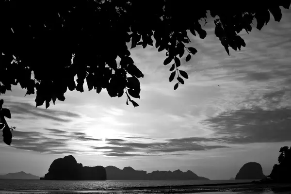 크 라비 태국 해변 — 스톡 사진