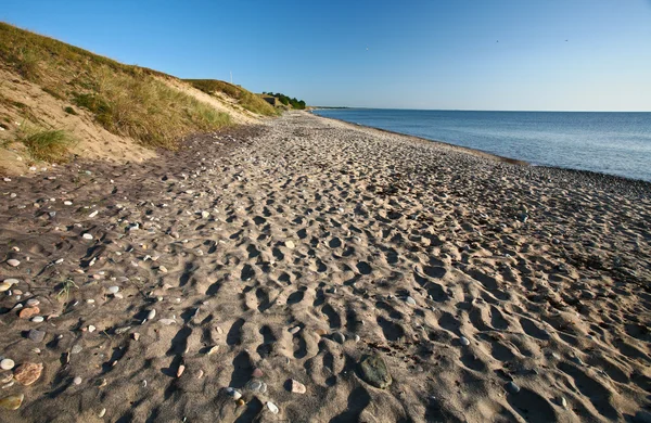 Natura nel sud della Svezia — Foto Stock