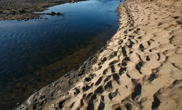 Naturen i södra Sverige — Stockfoto