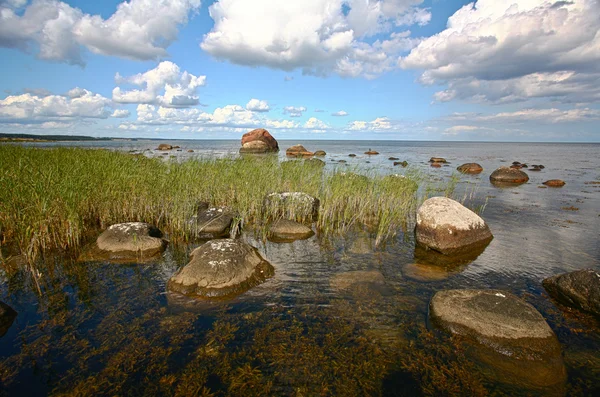 Schwedische Küstensicht — Stockfoto