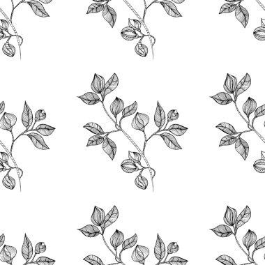 çiçek oryantal siyah izole sorunsuz geçmiş