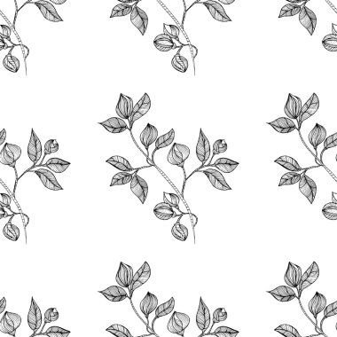 çiçek oryantal siyah izole sorunsuz geçmiş