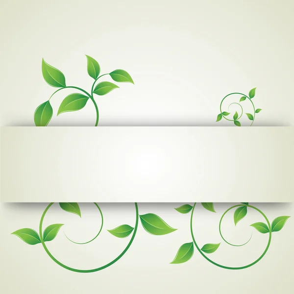 Green leaves curls — Stock Vector