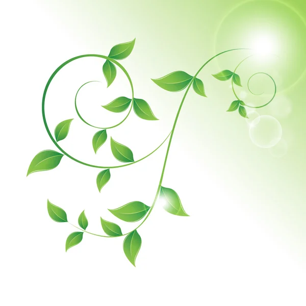 Gröna blad lockar — Stock vektor