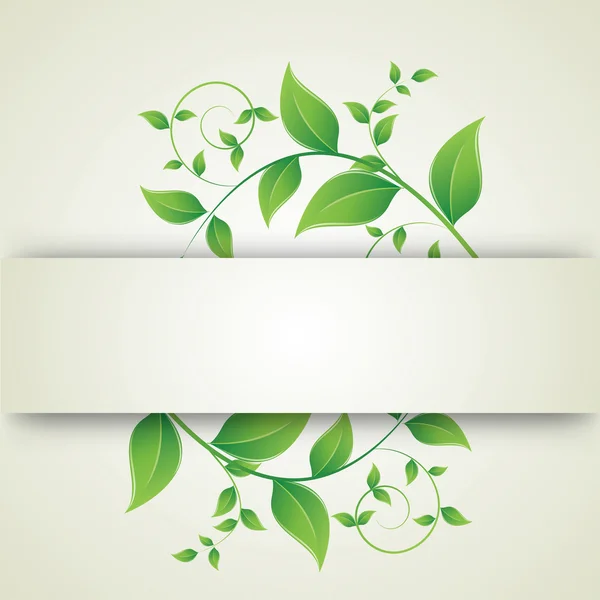 Green leaves curls — Stock Vector