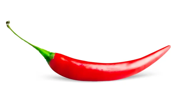 Pimientos rojos picantes — Vector de stock