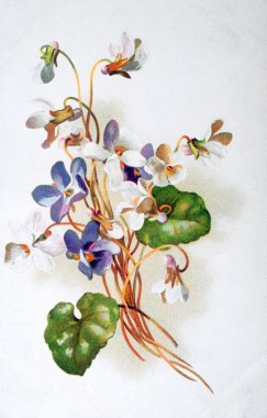 bir buket çiçek ile eski kartpostal 