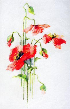 haşhaş eski kartpostal