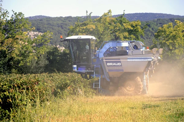 La cosecha con máquinas — Foto de Stock