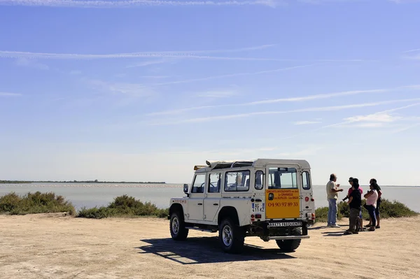 Turister som besöker camargue 4 x 4 — Stockfoto