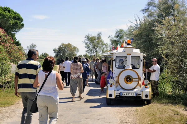 Turistas saem depois de sua visita aos cavalos Camargue — Fotografia de Stock