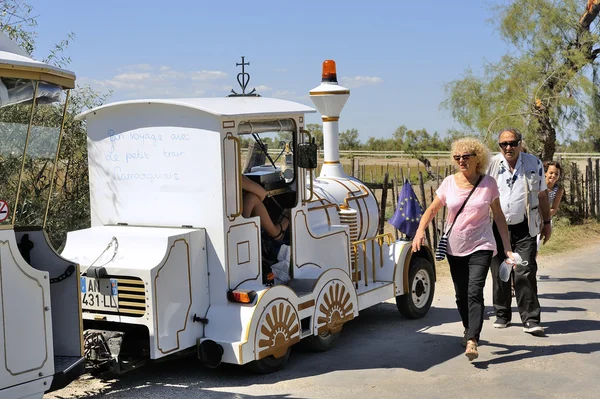 Tourists leave after their visit to the Camargue horses — Stock Photo, Image