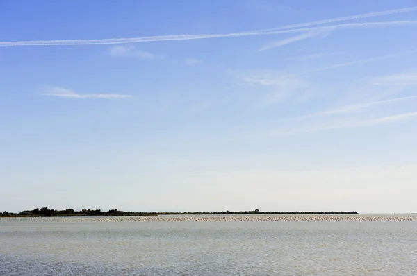 Camargue içinde flamingolar — Stok fotoğraf