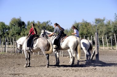 Boğa sürüsü çalışan kızlar gardians