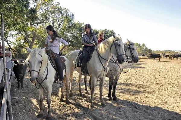 Hirtenmädchen in der französischen Camargue — Stockfoto