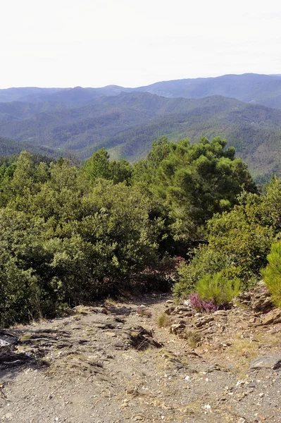 Natur i bergen i cevennes — Stockfoto