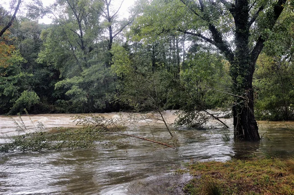 Rzeki Vidourle w powodzi po ulewne deszcze — Zdjęcie stockowe
