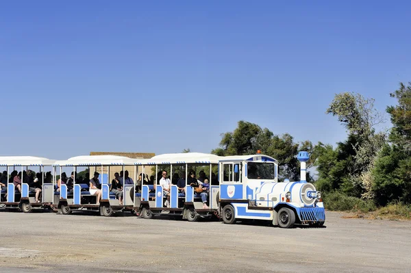 Turistik tren Aigues-Mortes tuz iş ziyaret etmek — Stok fotoğraf