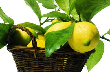 limon yaprakları ile
