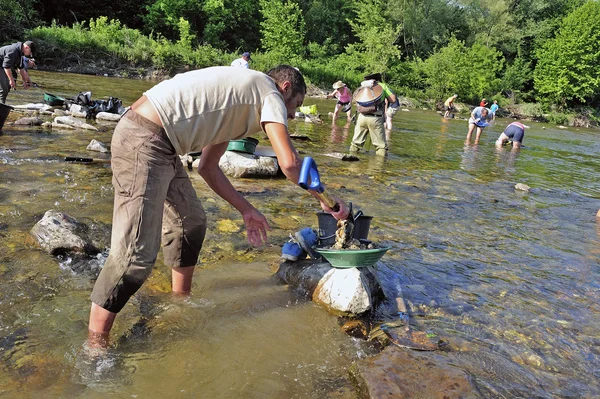 Gold prospectors in full competition — Stock Photo, Image