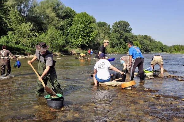 Gold prospectors in full competition — Stock Photo, Image