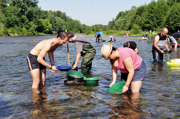 Золотоискатели в полной конкуренции
