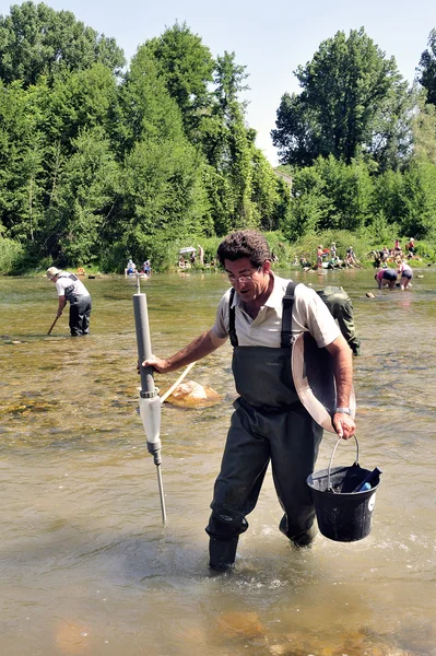 Gold prospectors in full competition — Stock Photo, Image