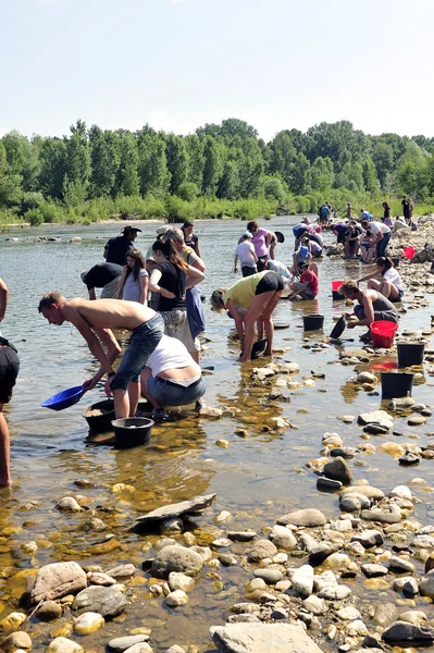 Hledači zlata ze všech věkových kategorií na břehu řeky gardon — Stock fotografie