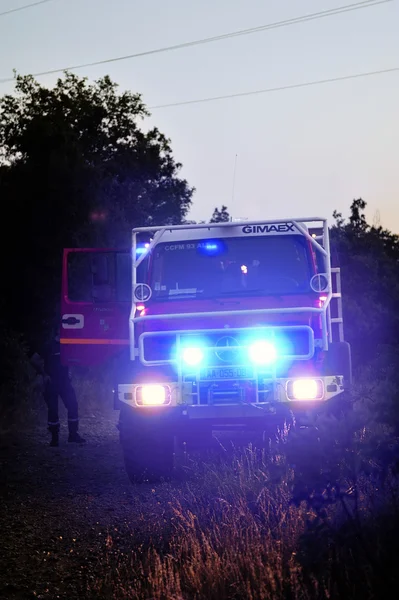 Brandweerauto's in een bos weg — Stockfoto
