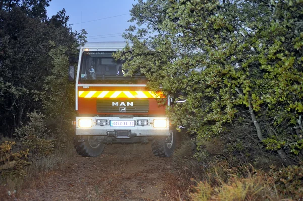 Fire trucks in a forest road — Stock Photo, Image