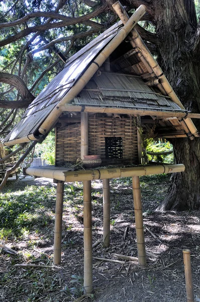 Parque Anduze bambú — Foto de Stock