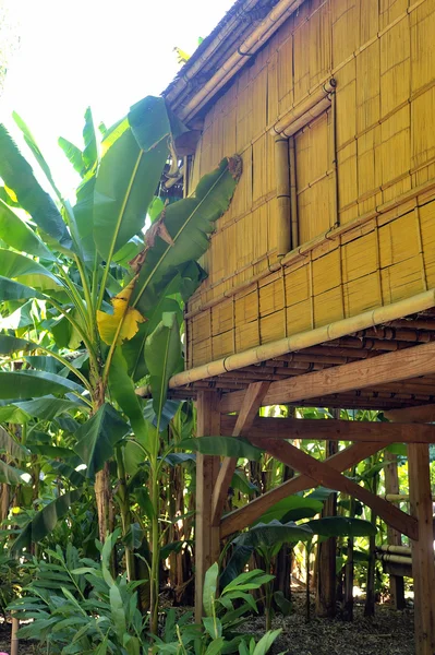 Casa de bambu no parque Anduze bambu — Fotografia de Stock