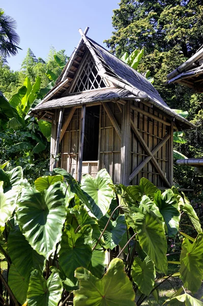 Casa di bambù nel parco Anduze bambù — Foto Stock