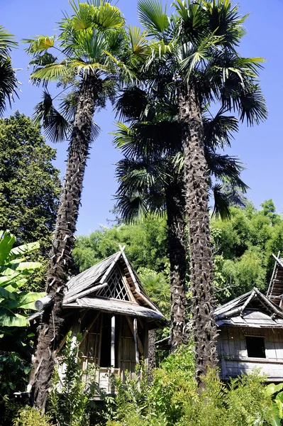 Casa de bambú en el parque Anduze bambú — Foto de Stock