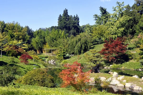 Japanse tuin Park Anduze bamboe — Stockfoto