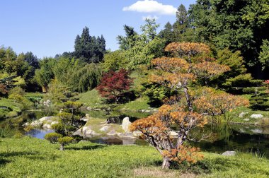Japon bahçe Park Anduze bambu