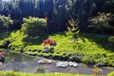 Japon bahçe Park Anduze bambu