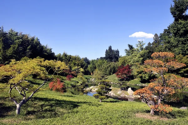 Japonês Jardim Parque Anduze bambu — Fotografia de Stock