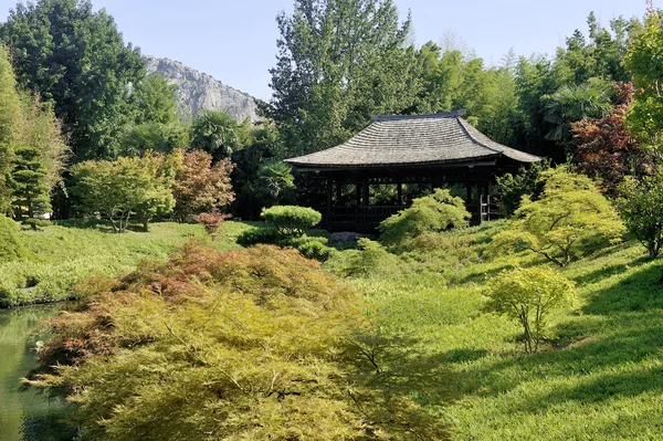 Japanischer Garten Park anduze Bambus — Stockfoto