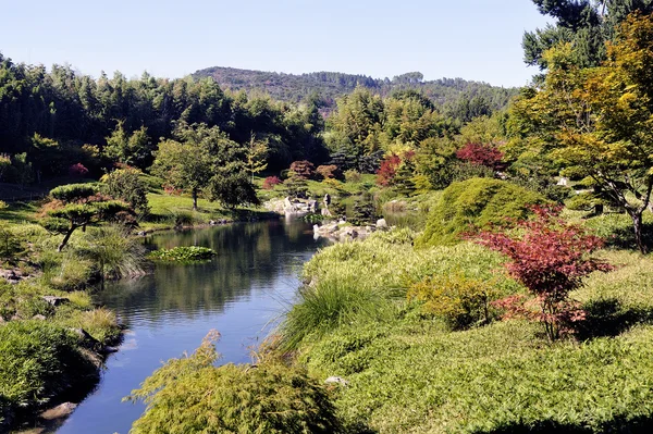 Japanska trädgården Park Anduze bambu — Stockfoto