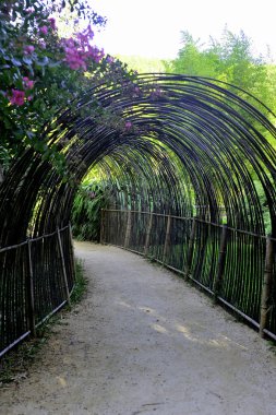 Park Anduze bambu