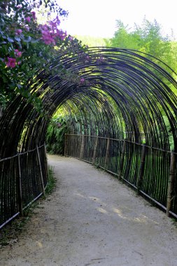 Park Anduze bamboo clipart