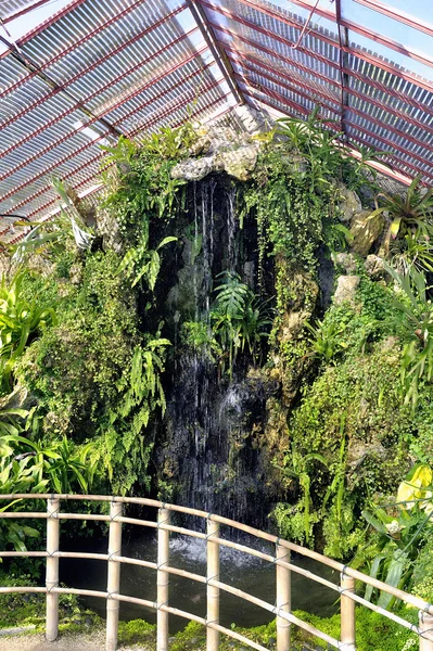 Estufas tropicais parque Anduze bambu — Fotografia de Stock