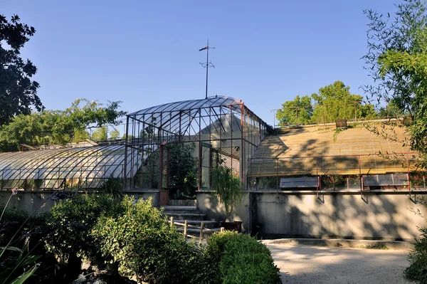 Tropische Gewächshäuser Park anduze Bambus — Stockfoto