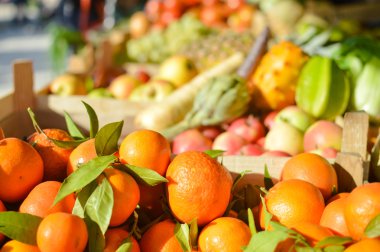 Lahana Bok Choy arasında meyve ve sebze Çiftçi Market