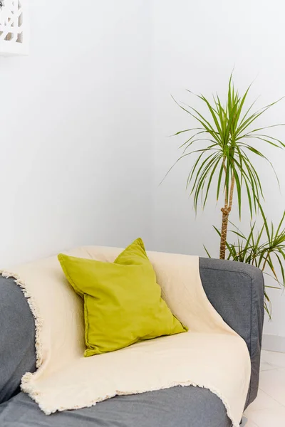 Zielone Rośliny Salonie Sofą Kolorowe Poduszki Białej Ścianie — Zdjęcie stockowe