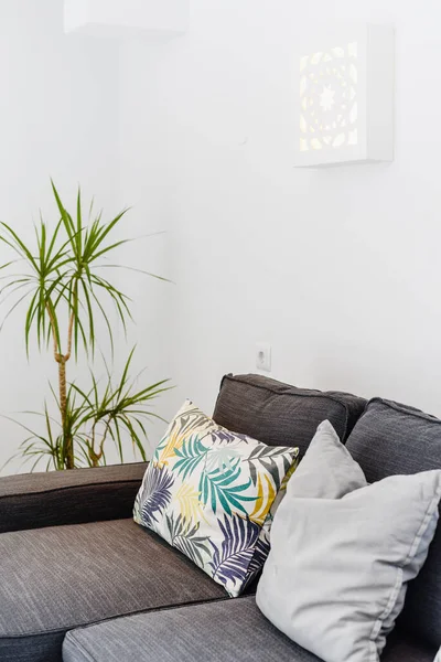 Green plants in the living room, with sofa and colorful pillows over white wall
