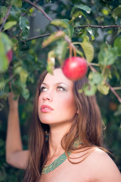 Junge Frau pflückt rote Äpfel — Stockfoto